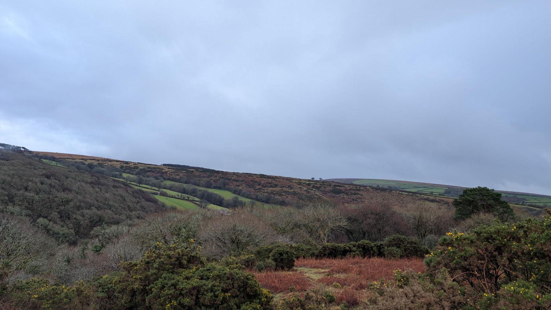 View of Ringmore and Wigford Downs